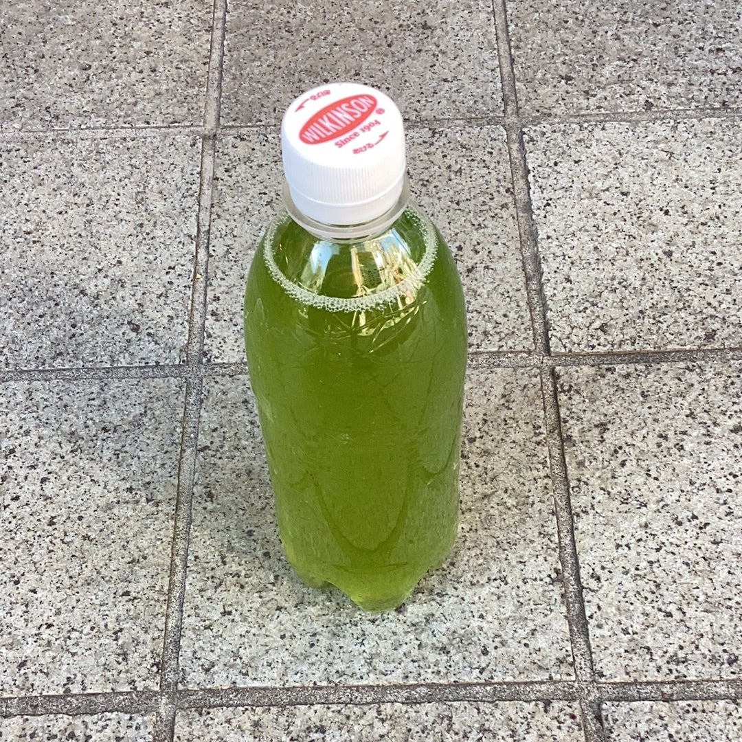 グリーンウォーター(小)